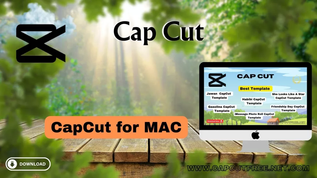 CapCut for mac